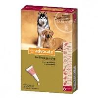 Advocate Spot-on Solution 250 Large Dogs 10-25kg Pack Of 6 Pipettes