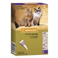 Advocate Spot-on Solution 80 Large Cats 4-8kgs Pack Of 6 Pipettes