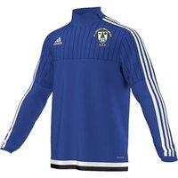 adidas Club St Lomans Mullingar GAA Tiro 15 Quarter Zip - Youth - Royal