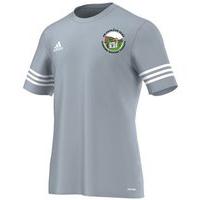 adidas Club Greencastle GAA Entrada 14 Tee - Youth - Silver/White