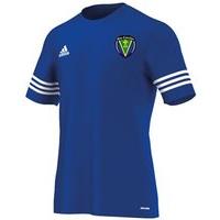 adidas county roscommon gaa entrada 14 tee youth royal