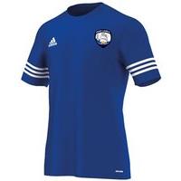 adidas County Waterford GAA Entrada 14 Tee - Youth - Royal