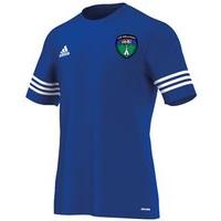 adidas county wicklow gaa entrada 14 tee youth royal