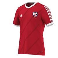 adidas county new york gaa tabela 14 tee youth redwhite