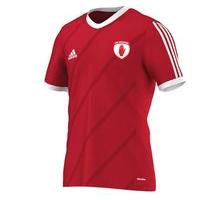 adidas county tyrone gaa tabela 14 tee youth redwhite