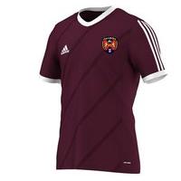 adidas County Westmeath GAA Tabela 14 Tee - Youth - Maroon