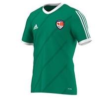 adidas county carlow gaa tabela 14 tee youth green