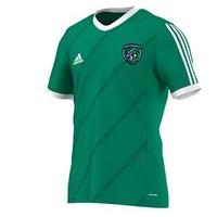 adidas County Fermanagh GAA Tabela 14 Tee - Youth - Green