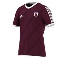 adidas County Galway GAA Tabela 14 Tee - Youth - Maroon