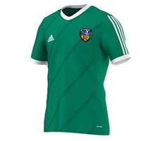 adidas County Ireland GAA Tabela 14 Tee - Youth - Green