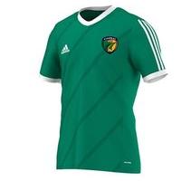 adidas County Kerry GAA Tabela 14 Tee - Youth - Green