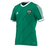 adidas county leitrim gaa tabela 14 tee youth green