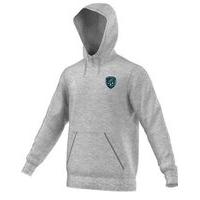 adidas county fermanagh core 15 hoodie youth grey