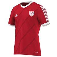 adidas Club Waterville GAA Tabela 14 Tee - Youth - Red/White