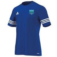 adidas club ballinahinch gaa entrada 14 tee youth royal