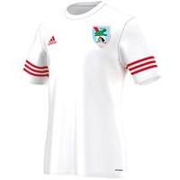 adidas Club An Ghaeltacht GAA Entrada 14 Tee - Youth - White/Red