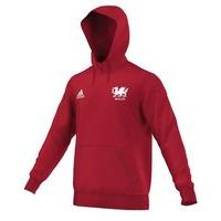 adidas club wales fc core 15 hoodie youth red