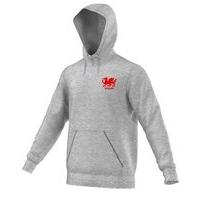 adidas club wales fc core 15 hoodie youth grey