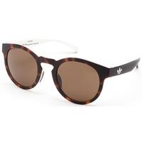 Adidas Originals Sunglasses AOR009 148.001