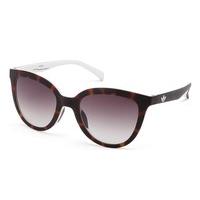 Adidas Originals Sunglasses AOR006 148.001