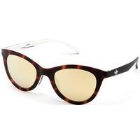 Adidas Originals Sunglasses AOR014 148.001