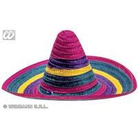 Adult\'s Multi-coloured Sombrero