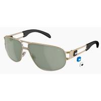 Adidas Sunglasses AH37 Polarized 6056