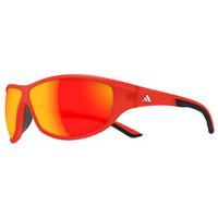 Adidas Sunglasses A416 Daroga 6062