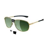 Adidas Sunglasses AH60 Manchester Polarized 6053