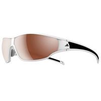 Adidas Sunglasses A192 Tycane L Polarized 6054