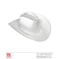 adults silver cowboy hat