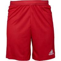 adidas mens volleyball shorts red