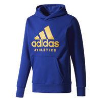 Adidas Branded Hoodie