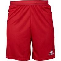 adidas Mens Volleyball Shorts Red