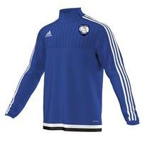 adidas County Waterford Tiro 15 Quarter Zip - Youth- Royal