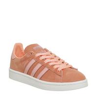 Adidas Campus SUN GLOW STILL BREEZE WHITE