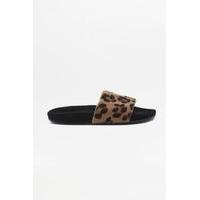 adidas Originals Leopard Pool Sliders, BLACK