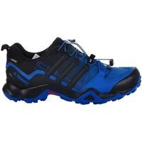adidas Terrex Swift R Gtx men\'s Shoes (Trainers) in Blue