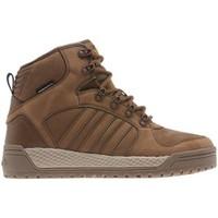 adidas Winter Ball men\'s Shoes (High-top Trainers) in Brown