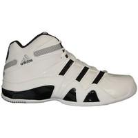 adidas G24072 men\'s Basketball Trainers (Shoes) in white