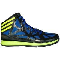 adidas Q33388 men\'s Basketball Trainers (Shoes) in Blue