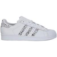 adidas Superstar men\'s Shoes (Trainers) in White