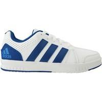 adidas Trainer 7 K men\'s Shoes (Trainers) in white
