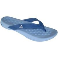adidas Perfanto Thong W women\'s Flip flops / Sandals (Shoes) in blue