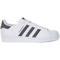 adidas Superstar W women\'s Shoes (Trainers) in White