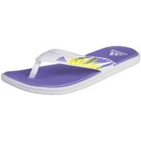 adidas SC Beach 3POINT GR W women\'s Flip flops / Sandals (Shoes) in white