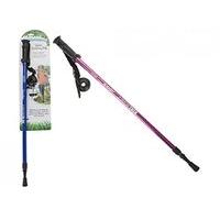 Adventurer 2 Section Trekking Pole