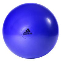 adidas 65cm gym ball purple