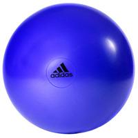 adidas 75cm gym ball purple