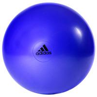 adidas 55cm Gym Ball - Purple